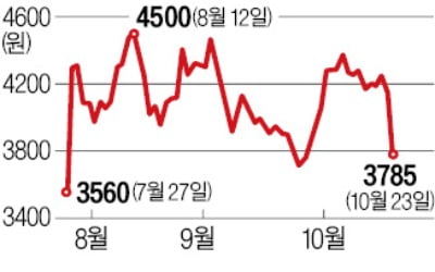 아시아나 균등감자 추진에…소액주주 '부글부글'