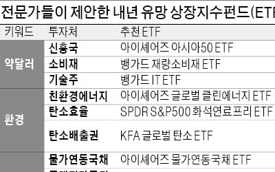 전문가 추천 ETF 살펴보니…"내년 유망 ETF는 弱달러·환경·경기부양"