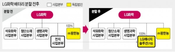 LG화학 '배터리 초격차' 선언…"年 3조씩 투자, 독보적 1위 굳힌다"