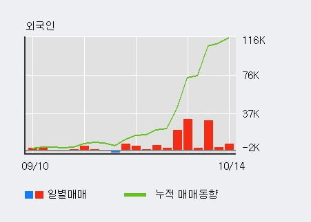 '대양전기공업' 52주 신고가 경신, 최근 3일간 외국인 대량 순매수