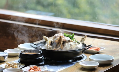 [酒먹방] 인제 내린천 절벽 위 낙지요리 맛집