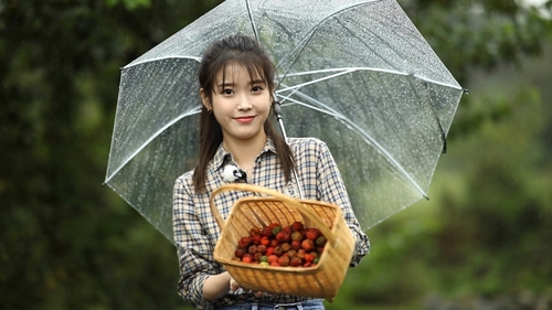 이선희·아이유가 들려주는 KBS 다큐 '나무야 나무야'