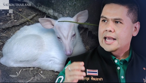 태국 동물원 희귀동물 실종사건 조사 중 총격…2명 사망