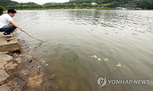 낙동강 해평 지점 조류경보 해제