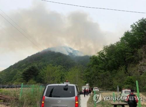 "5년간 산불로 여의도 면적 10배 이상 소실…피해액 5천억"