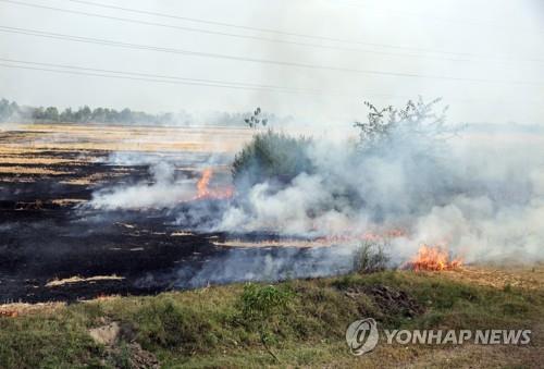 대기오염 막는데 웬 퇴비 만들기?…인도, 이색 대책 시도