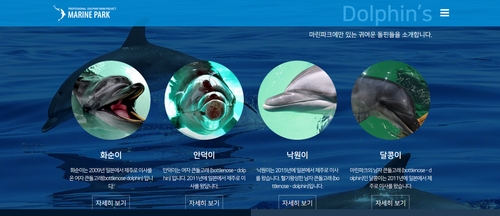 "언제까지 죽일 셈인가"…제주 마린파크서 돌고래 또 폐사