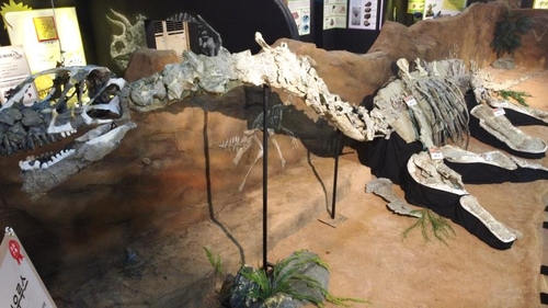 공룡세계엑스포 연기 아쉬움 공룡화석 전시회로 달랜다