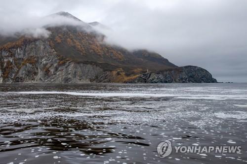 러 당국, 캄차카 '수질오염·동물 떼죽음' 본격 수사