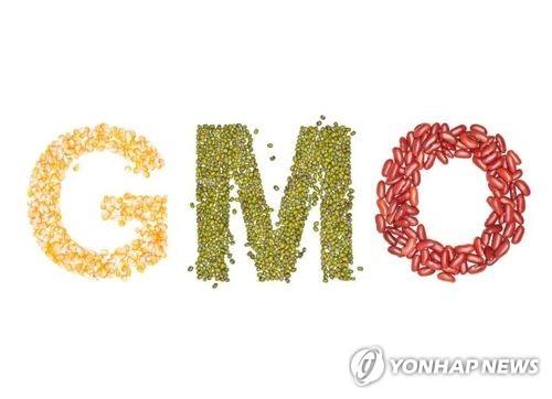 아르헨, 세계 최초 GMO 밀 승인…수출 여부는 불확실