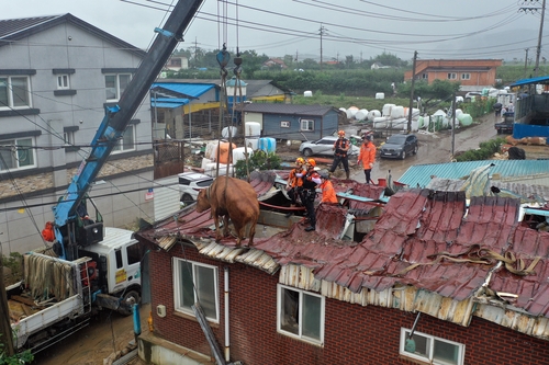 [사진톡톡]"역대 가장 따뜻한 9월"… 백신도 없는 기후위기