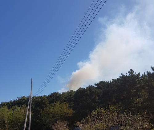 인천 선재도 야산서 불…1시간30분 만에 진화