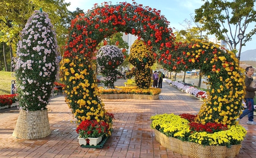 세계문화유산 통도사 주변 가을국화로 물들인다