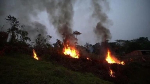 아마존·판타나우 화재 급증 와중에 브라질 실무 책임자 사임