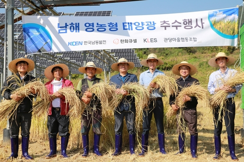 한화큐셀, 남해 영농형 태양광 단지서 벼 추수 행사