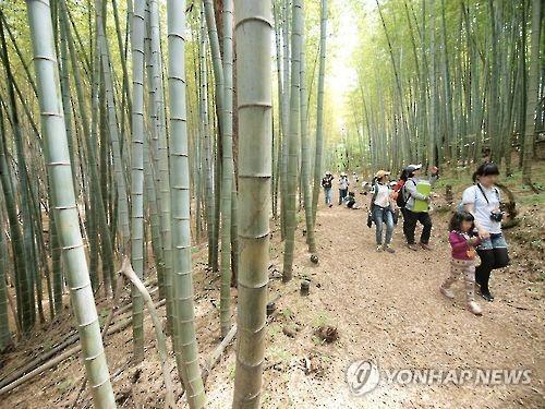 부산 찾는 관광객 거점은 '해운대와 남포동'