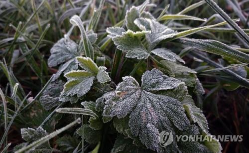 충북 아침까지 쌀쌀…낮 최고기온 17∼20도