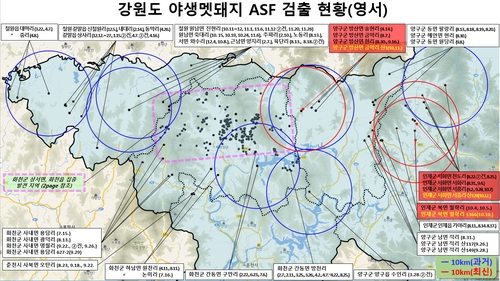 인제·양구서 ASF 감염 야생 멧돼지 폐사체 3두 잇단 발견