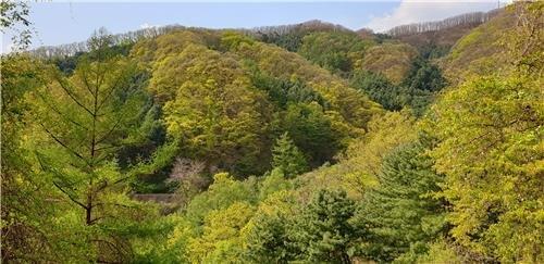 위성곤 "축구장 980개 면적 국유림 무단 점유"