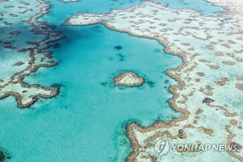 [알쏭달쏭 바다세상Ⅱ](36) 식물 아냐, 난 동물이야…이래 봬도 근육도 있어