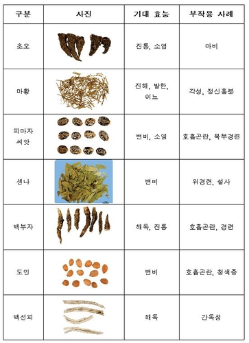 식약처, '식용불가' 농·임산물 판매행위 집중 점검 실시