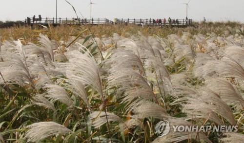 '보령·부여·청양 관광지와 연계' 서천군 광역투어버스 운행