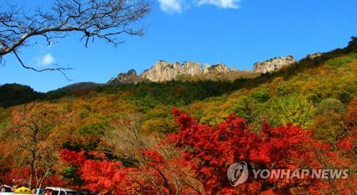 정읍시, 단풍철 맞아 '코로나19 차단 방역' 총력