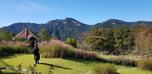 [경남소식] '단풍과 와인 향기'…함양 하미앙정원, 민간정원 등록