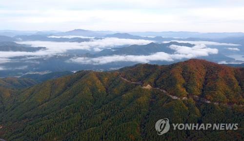 사회적 거리 두기 완화 첫 주말…관광지·도심 나들이객 북적
