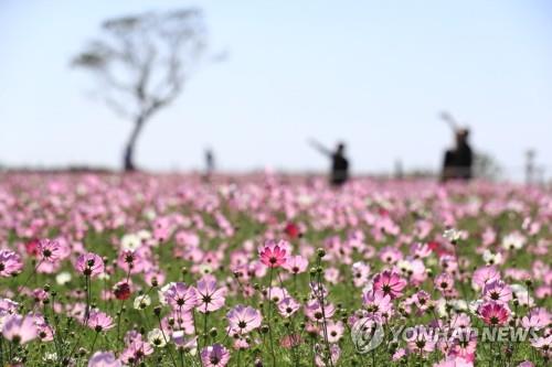 사회적 거리 두기 완화 첫 주말…관광지·도심 나들이객 북적