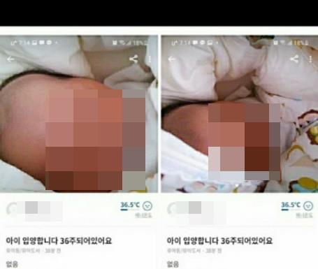 '36주 아이 20만원' 게시글 …경찰 "산모·아이 모두 무사"(종합)