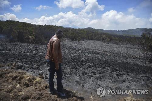 탄자니아 "킬리만자로 산불 통제"…닷새 만에 진화