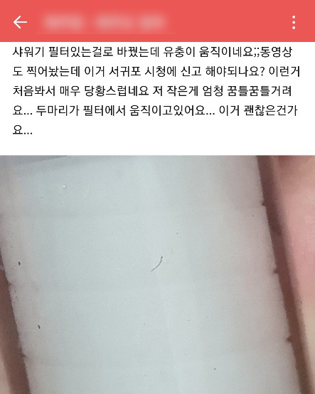 제주서도 수돗물 유충 신고…도 "깔따구 유충 아니다"