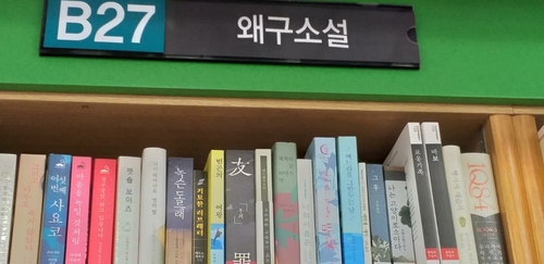 '왜구소설' 서점주 "일본 책방 혐한 코너와 경제 보복에 화나"