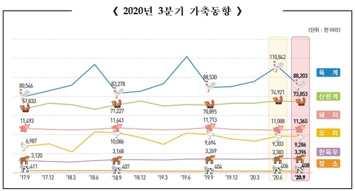 한·육우 사육마릿수 339만 마리 사상최대…"소비 증가 영향"