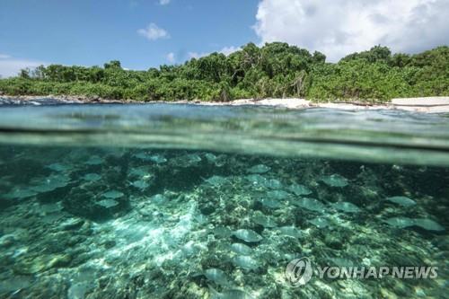 '허니문 천국' 세이셸, 사흘간 대선·총선 실시