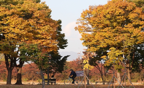 [사진톡톡] '랜선으로 만나는 가을'