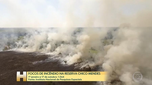 삼림 화재 심각한데…브라질 담당기관 "예산없어 진화작업 중단"