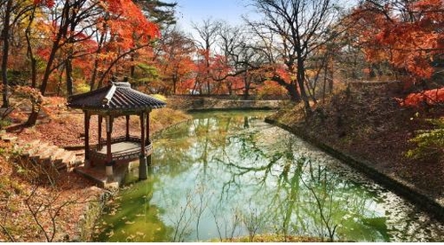 문화재청 "고궁·조선왕릉 단풍 이달 말부터 절정 예상"