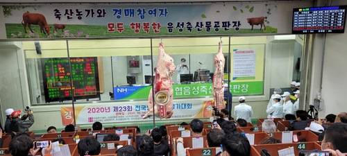 금빛 행보 '영암 매력한우'…전국 최고 브랜드 입증
