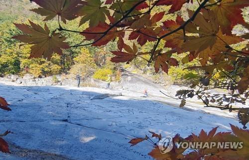 동해시 무릉계곡 관광객 증가…"비대면 여행 확산 영향"