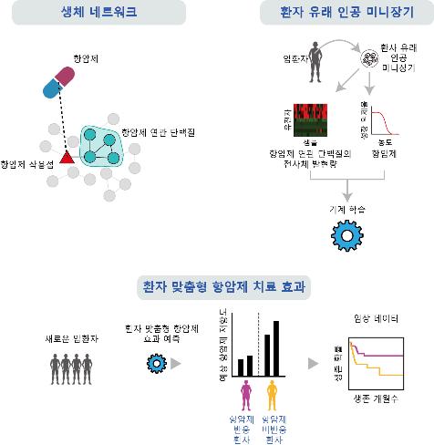 항암제 치료효과 예측하는 머신러닝 기술 개발