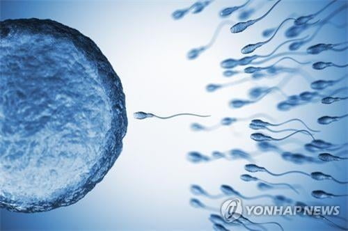 코로나19, 남성 생식기능에 영향 가능성 "정자 손상"