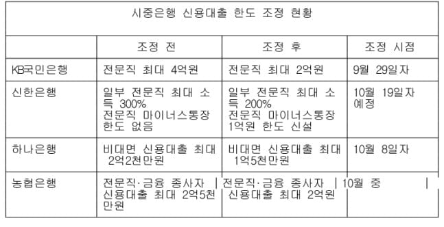 고소득 전문직도 대출 조인다…신용대출 한도 하향 조정