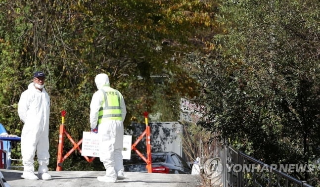 인제·양구서 감염 야생멧돼지 발견…돼지열병 확산 불안