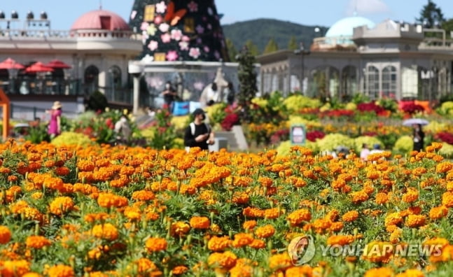 거리두기 완화 첫 주말…유명산·관광지에 나들이객 북적