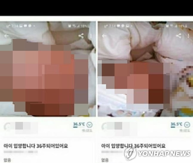 당근마켓 20만원 게시글 아기, 생후 6일만에 보육시설로