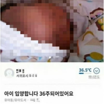 당근마켓에 올라온 신생아, 제주 보육시설 입소 결정