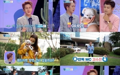 김수찬, 첫 지상파 고정 MC 합격점…전현무 "기운 좋아 탐나는 MC" 극찬