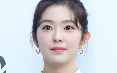 SM "아이린, 스타일리스트에 직접 사과…성숙하지 못한 모습 죄송"[전문]